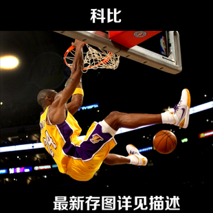 办理项目经理证